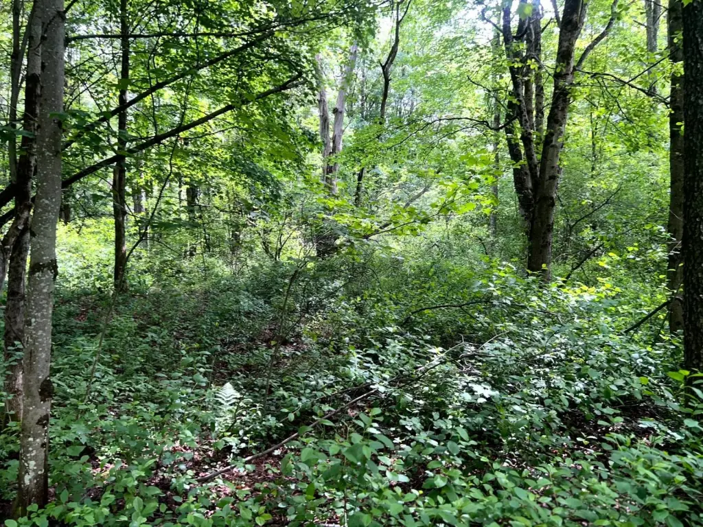 Picture 15