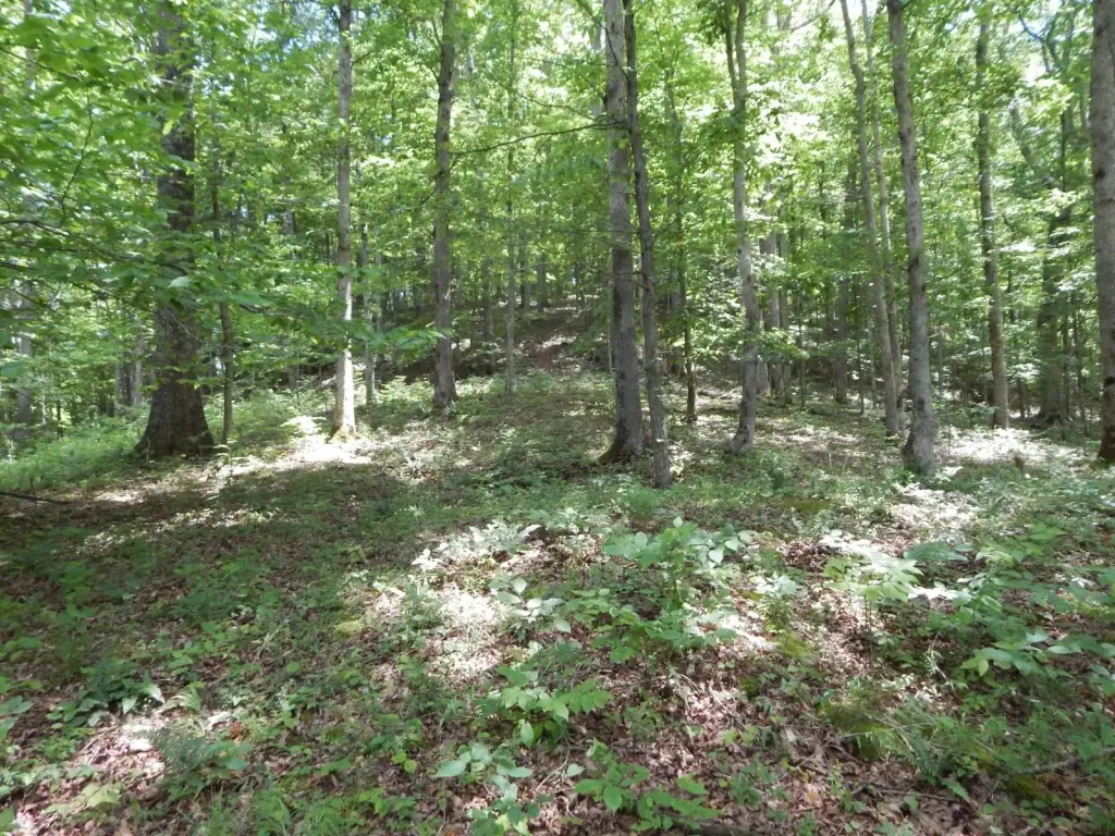 Picture 37