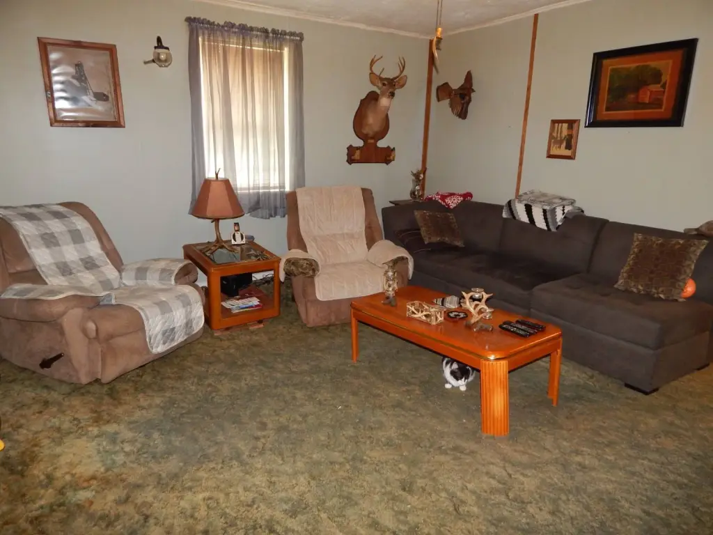 Picture 16