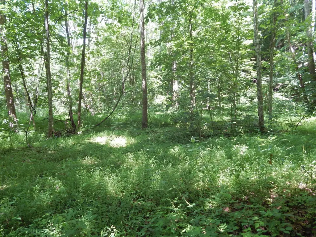 Picture 41