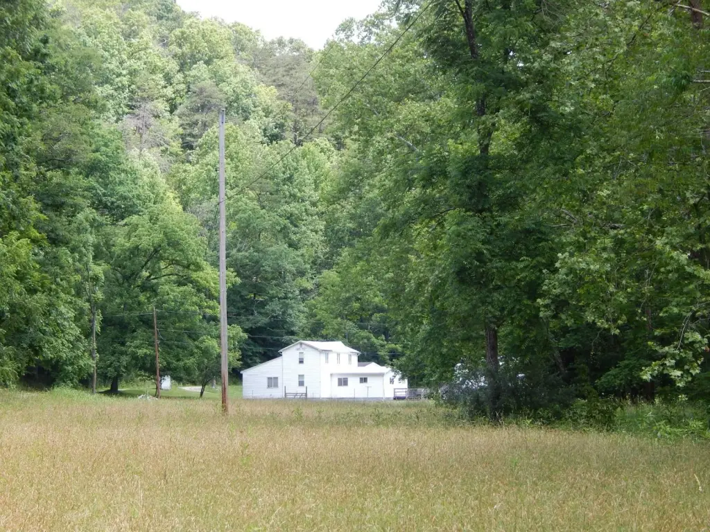 Picture 8