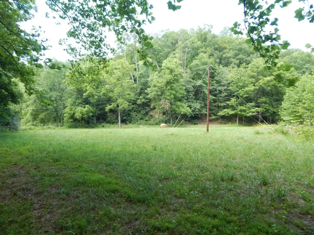 Picture 45
