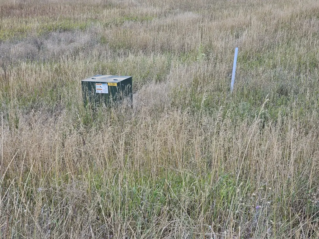 Picture 5