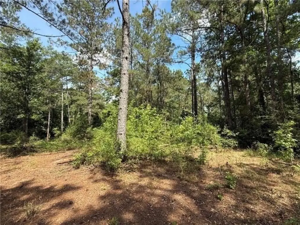 Picture 4