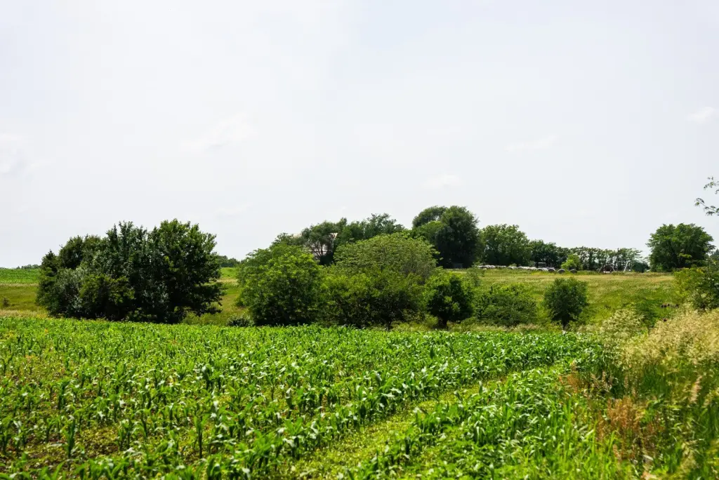 Picture 22