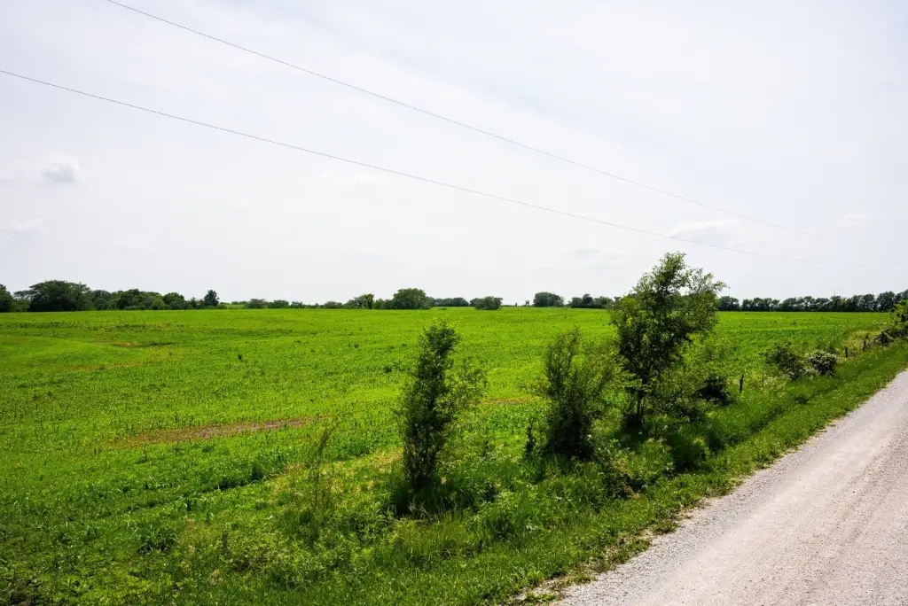 Picture 17