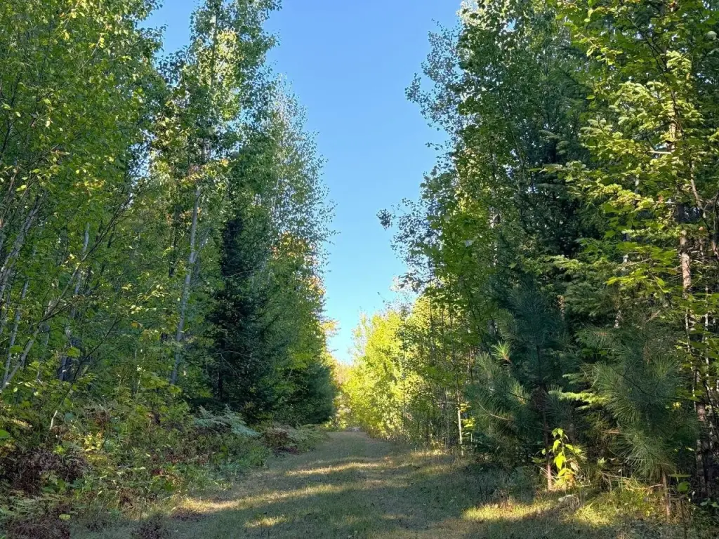 Picture 25