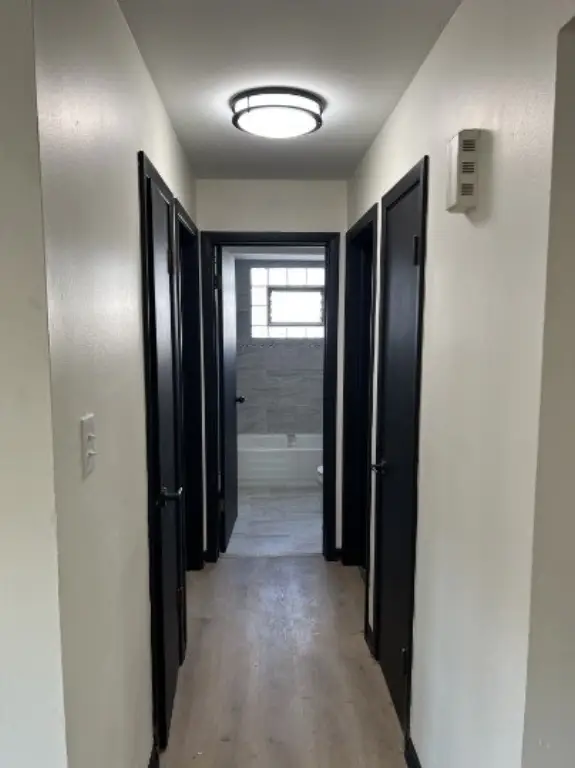 Picture 19