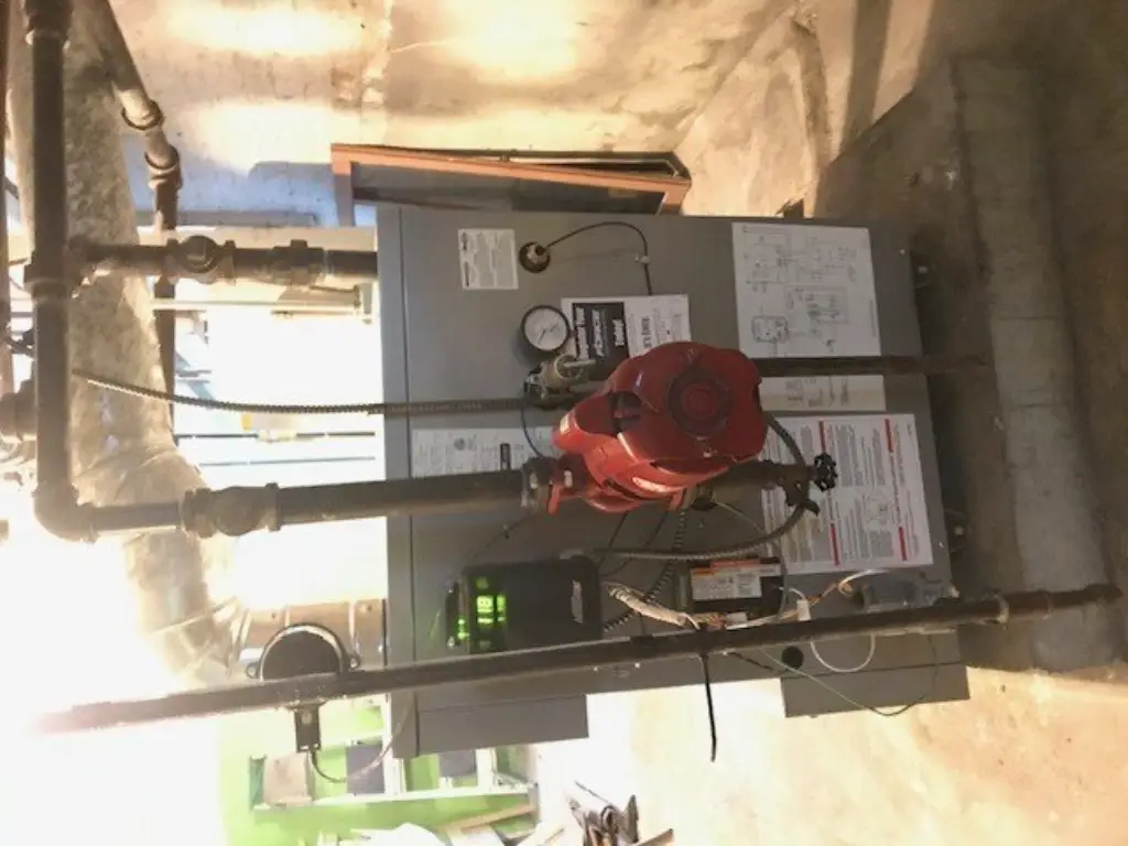 Picture 16