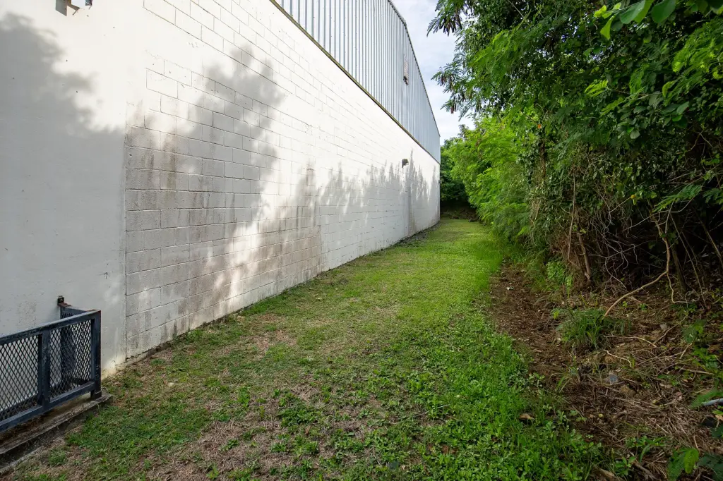 Picture 25