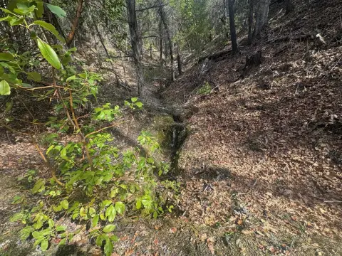 Happy Camp Acreage Surrounded by Forest