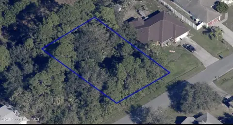 Residential Land in Palm Bay