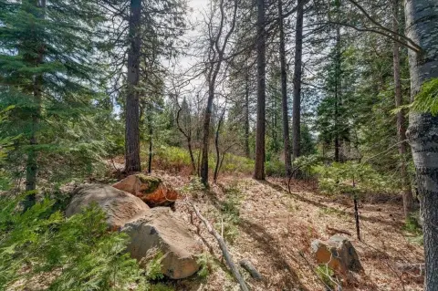 Mt. Shasta Acreage Opportunity