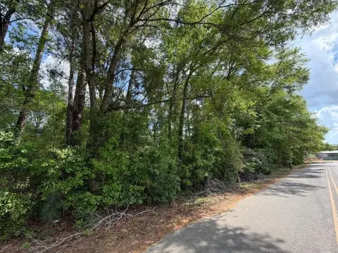 Residential Wooded Lot in Rebecca