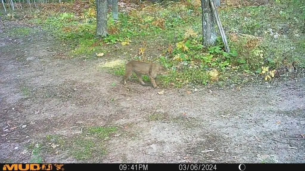 Picture 8