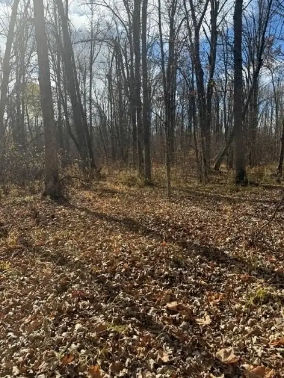 Picture 3