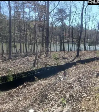 Waterfront Lot in Chapin, SC