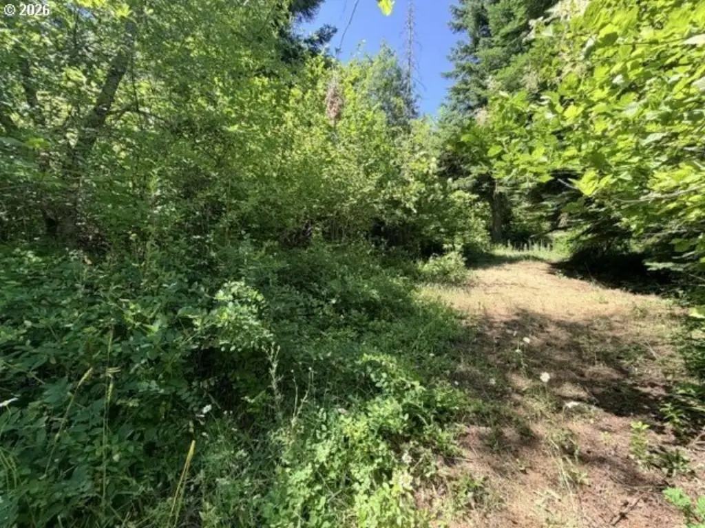 Picture 25