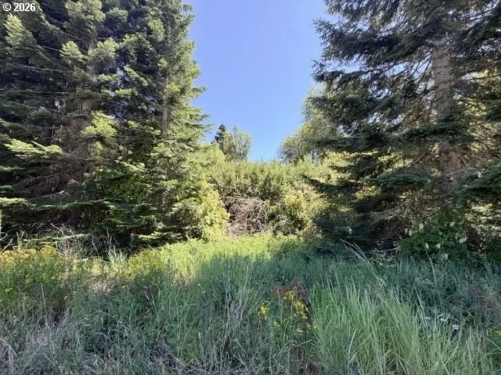 Picture 23
