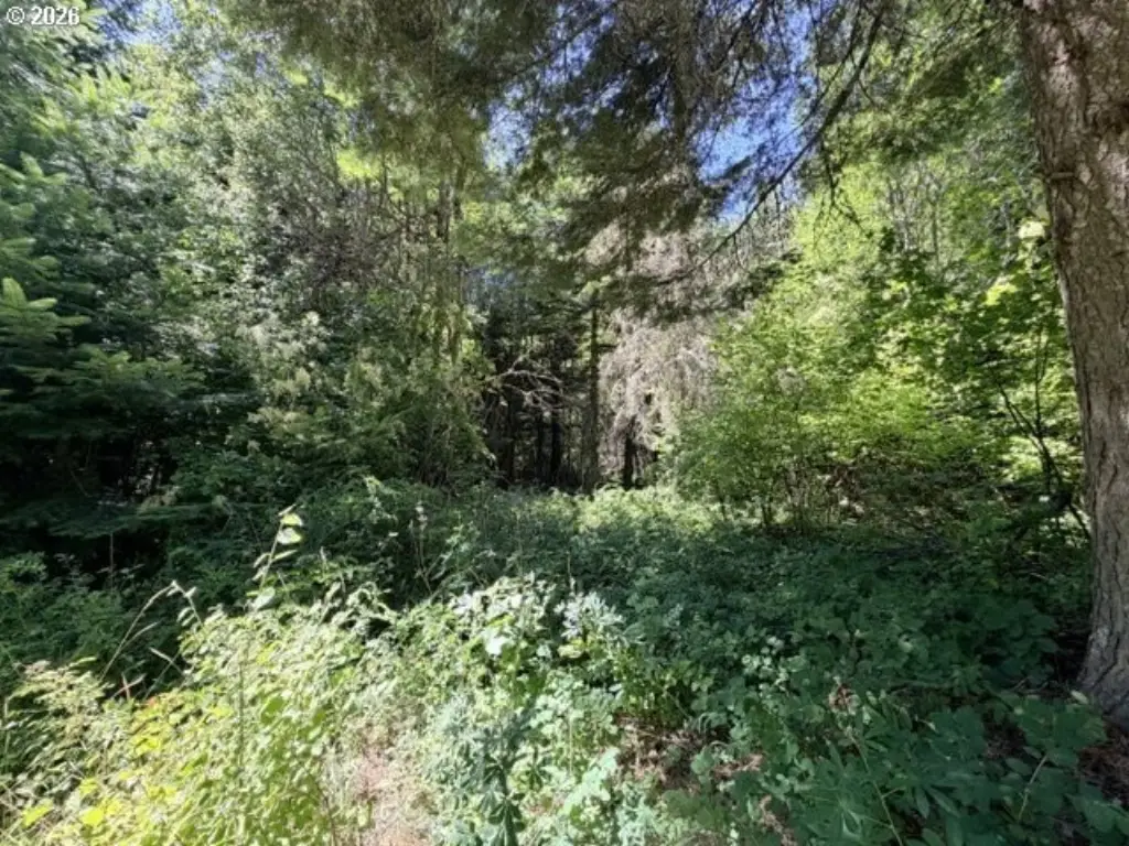 Picture 24