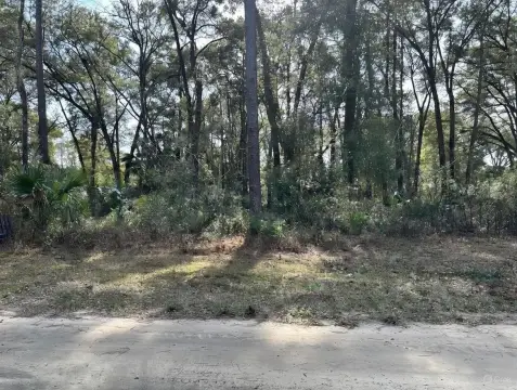 Residential Lot in Belleview, FL