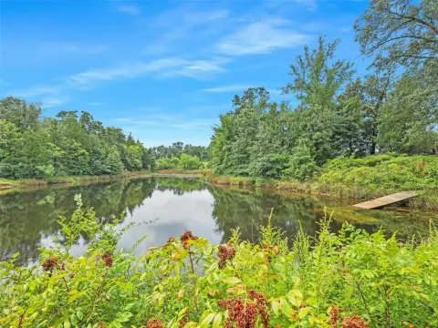 35 Acres of Texas Land