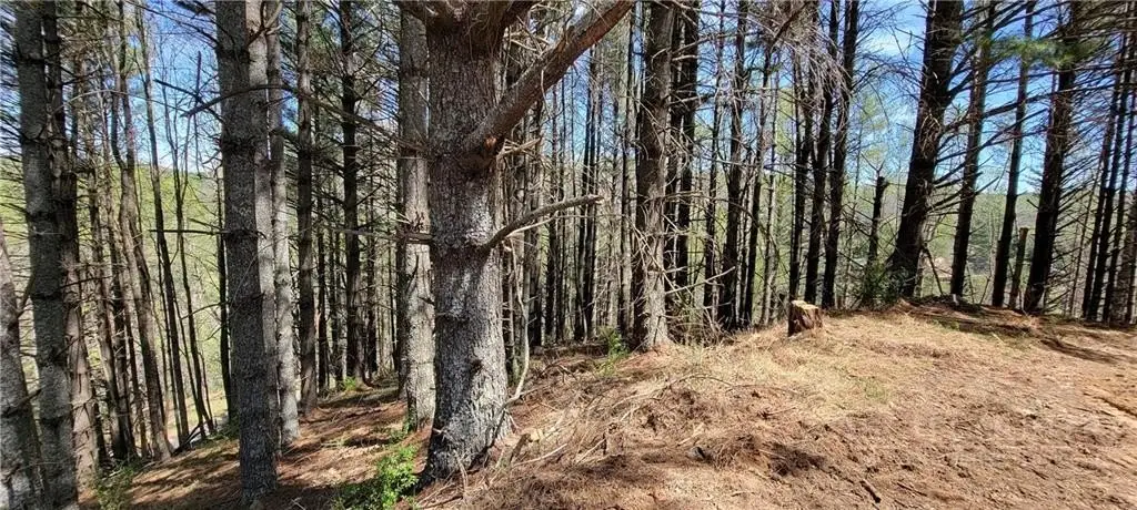 Picture 7
