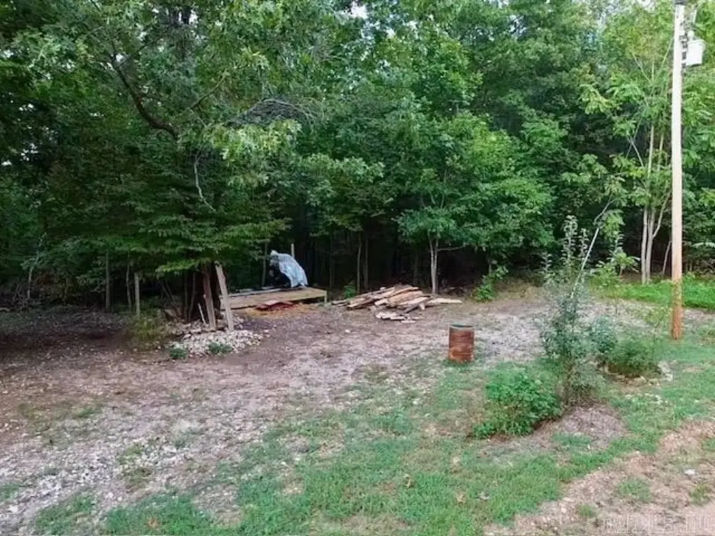 Picture 21