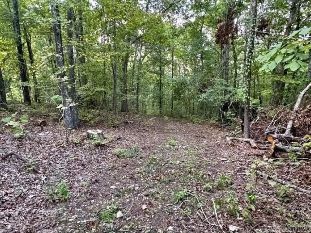 Picture 23