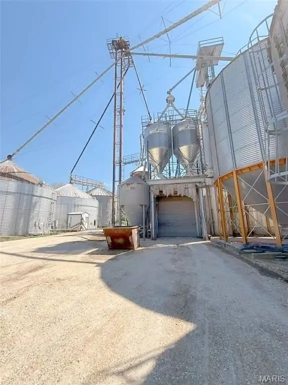 Picture 6