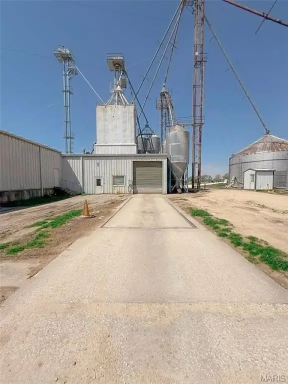 Picture 19