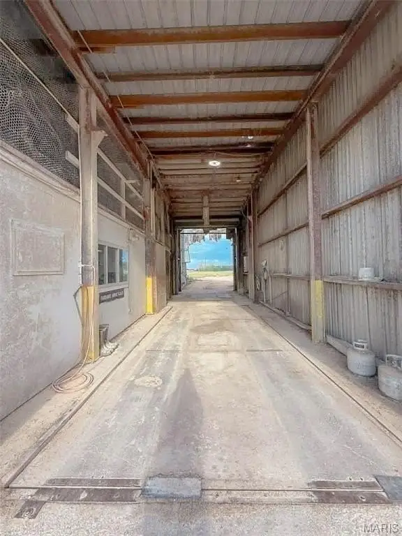 Picture 15