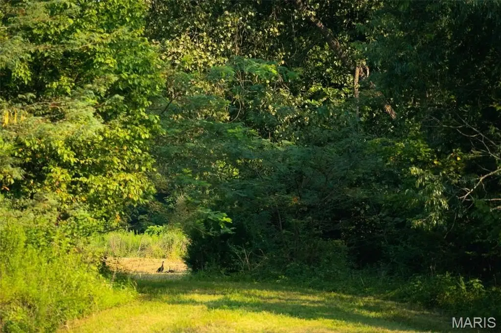 Picture 42