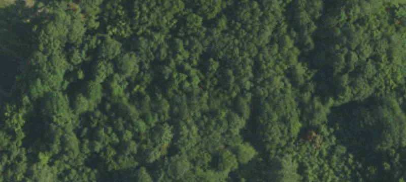 6.61 Acres Near I-95 Exit