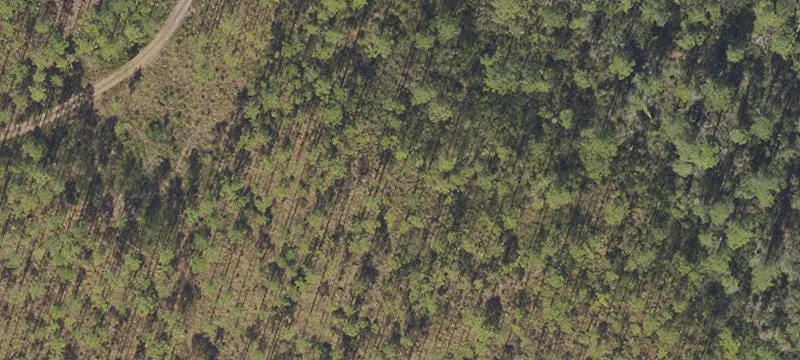 20 Acres Commercial Property