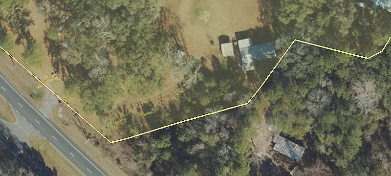 Gadsden County Estate with Christmas Tree Farm