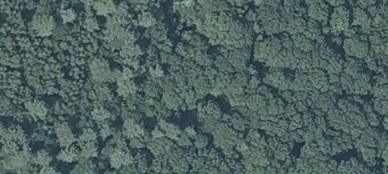 Wooded Acreage Near Interstate 295