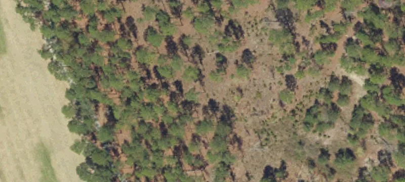 Commercial Land on US Highway