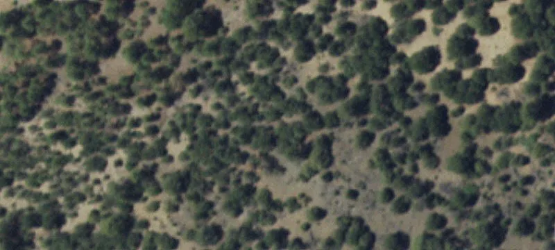 Versatile Multi-Use Property in Chimayo