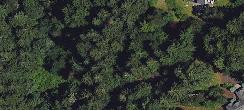 Corvallis Developable Land Parcel