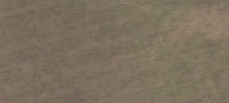 Land Tract Near Shiner, Texas