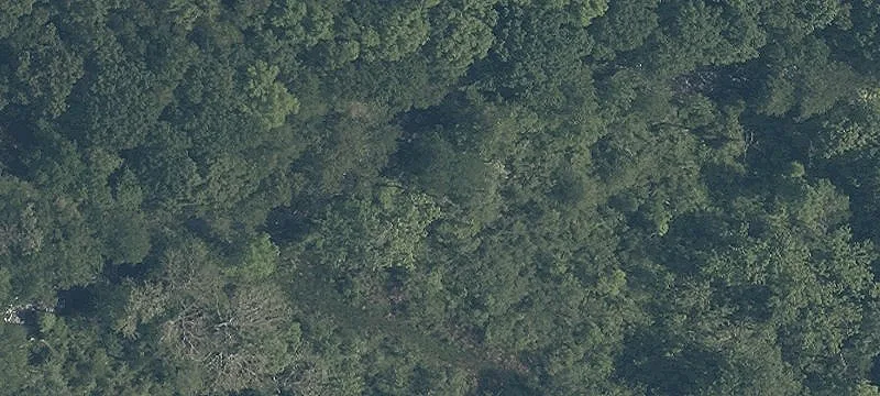 Commercial/Residential Land in Kent