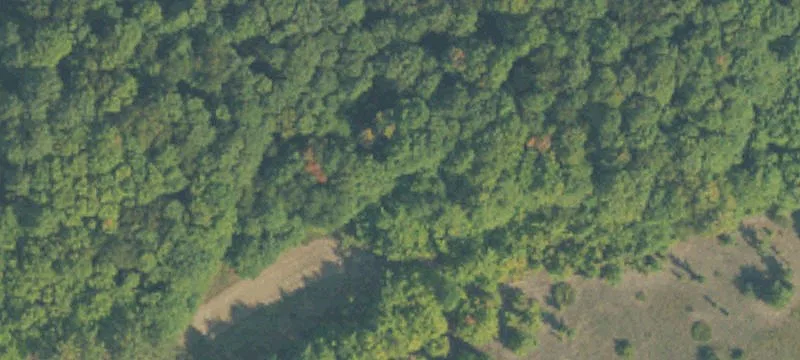 55 Acres of Opportunity