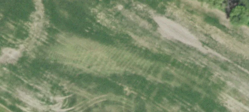 Established Business on Two Acres