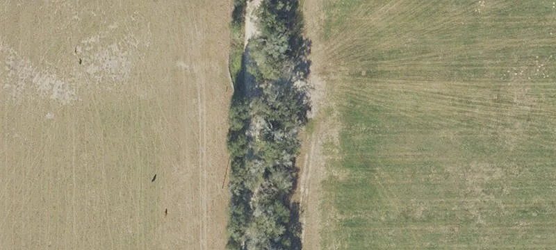 One Acre Lot in Bell