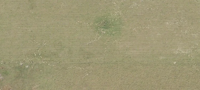 14-Acre Parcel Near Hart Springs