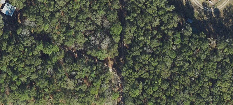 15 Wooded Acres in Florida