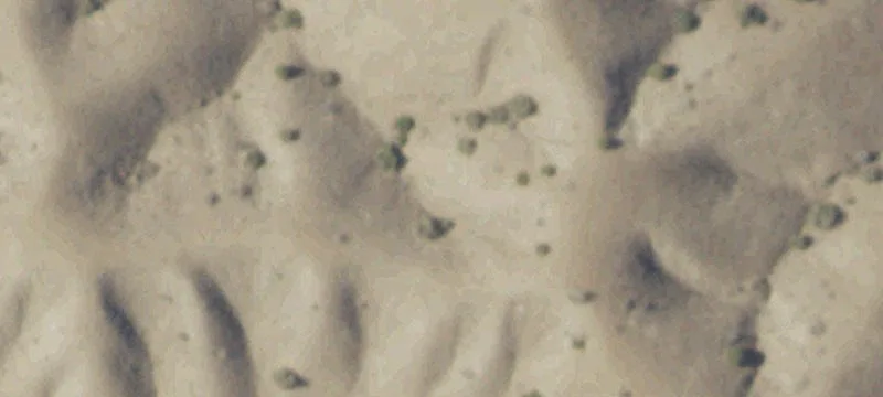 664 Frontage Rd