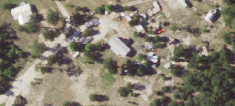 562 Pine Tree Loop