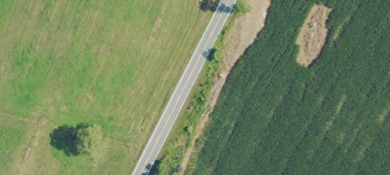 Wiltshire Rd